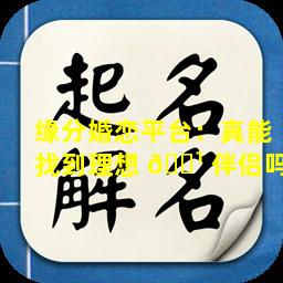 缘分婚恋平台：真能找到理想 🌹 伴侣吗